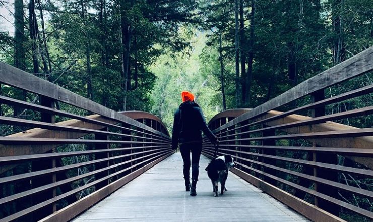 Bruisende wandeling voor het goede dierendoel