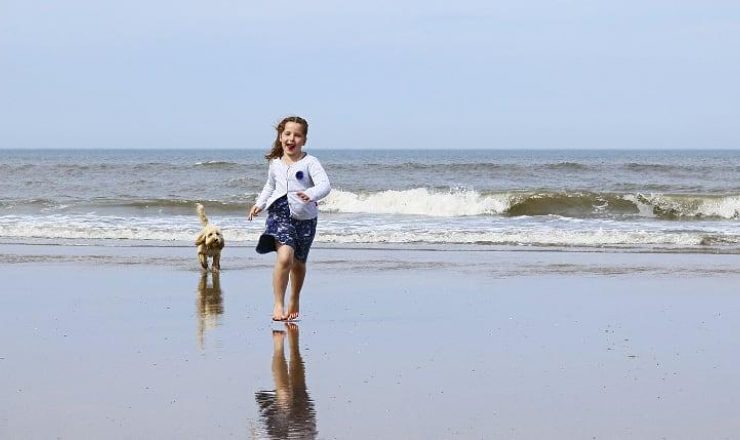 Vakantie voor de deur: handige tips voor je huisdier