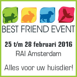 Best Friend Event Rai Amsterdam