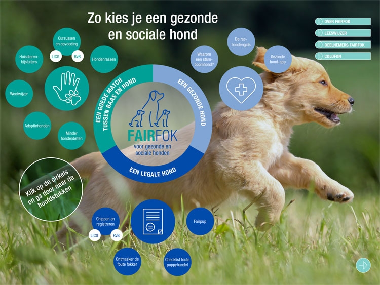 Brochure fairfok - Zo kies je een gezonde en sociale hond