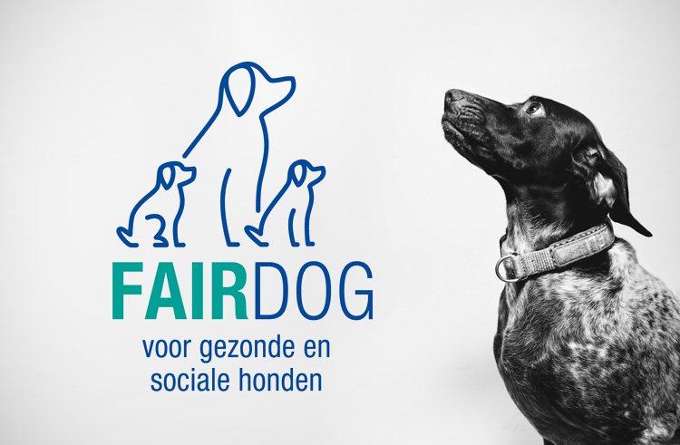 Fairdog: voor gezonde en sociale honden
