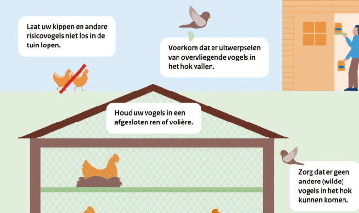 Ophokplicht hobbyvogels blijft van kracht: Wat moet je weten?