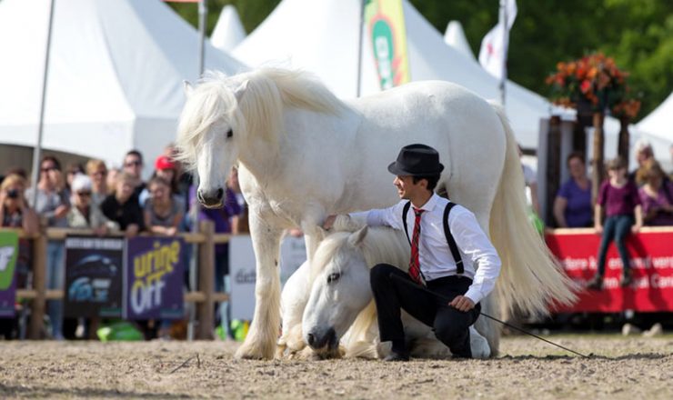 Animal Event viert 10de editie
