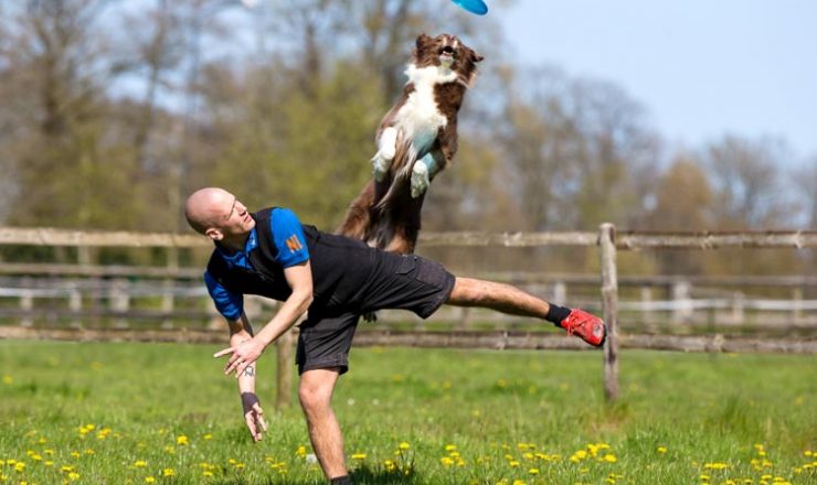 Bark in the Park: hondenevenement tijdens Pinkerweekeinde
