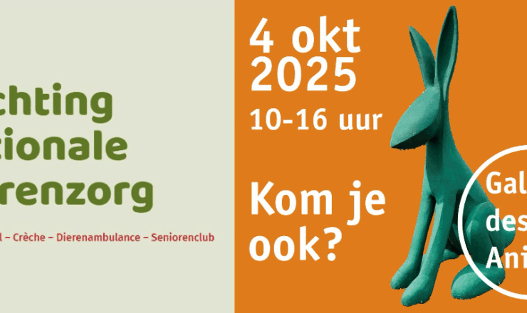 Wereld Dierendag vieren met kunst én dierenliefde