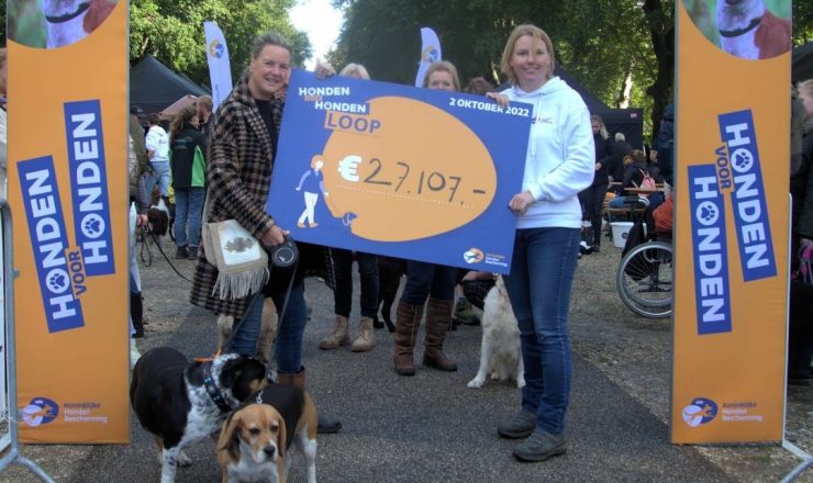 Hondenbaasjes halen bijna 30.000 euro op voor oudere en kwetsbare honden