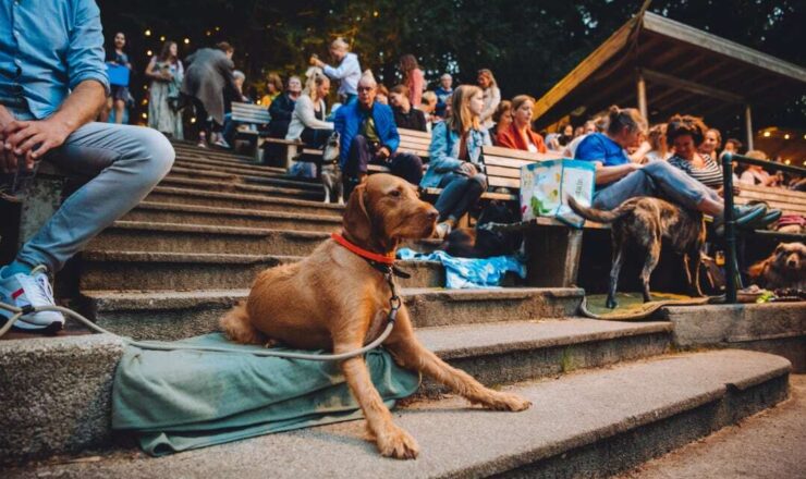 Bioscoopavond voor hond en baasje in het Bostheater
