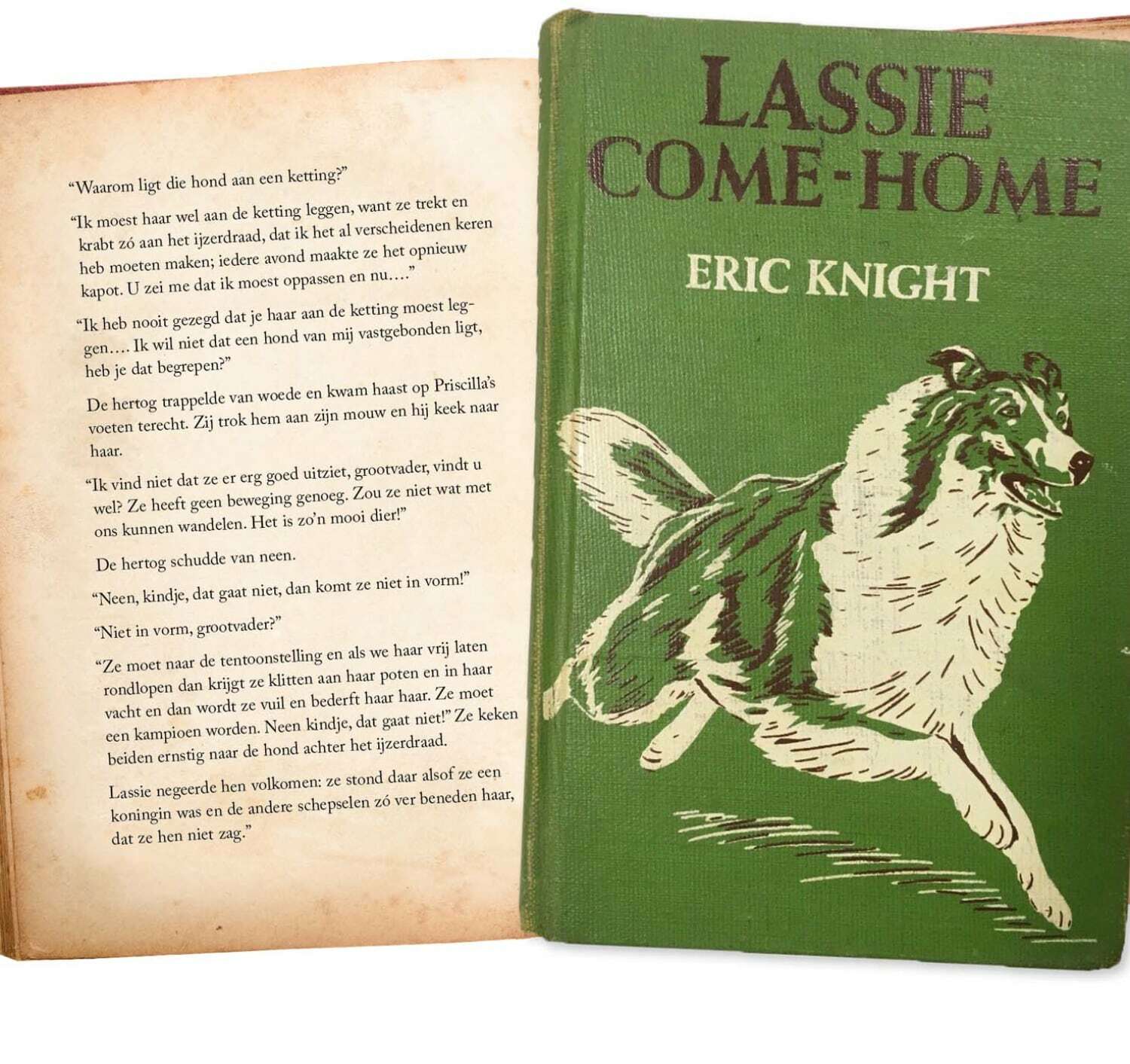 Passage uit het boek Lassie