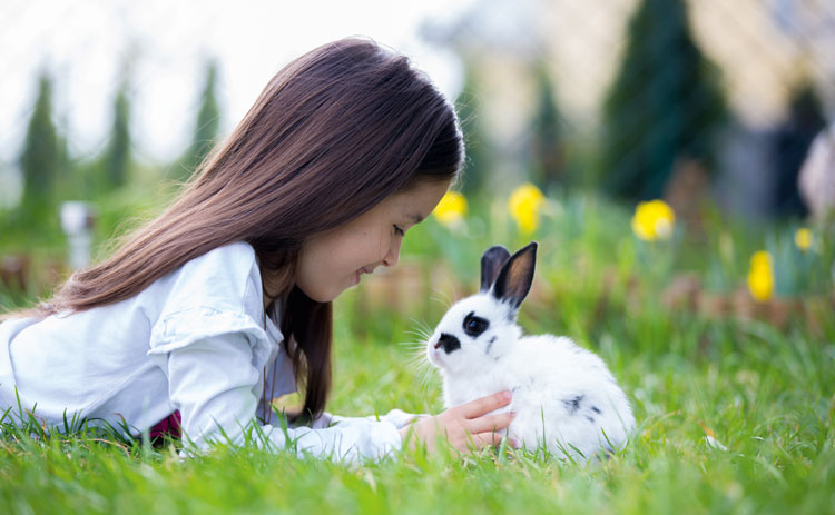 Meisje met konijn