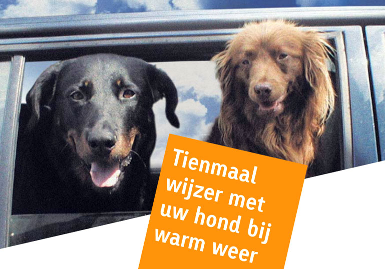 Warm weer dodelijk voor honden
