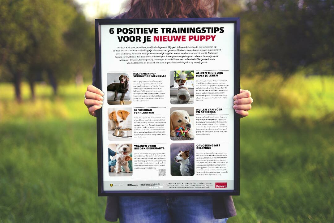 Puppyposter met positieve trainingstips